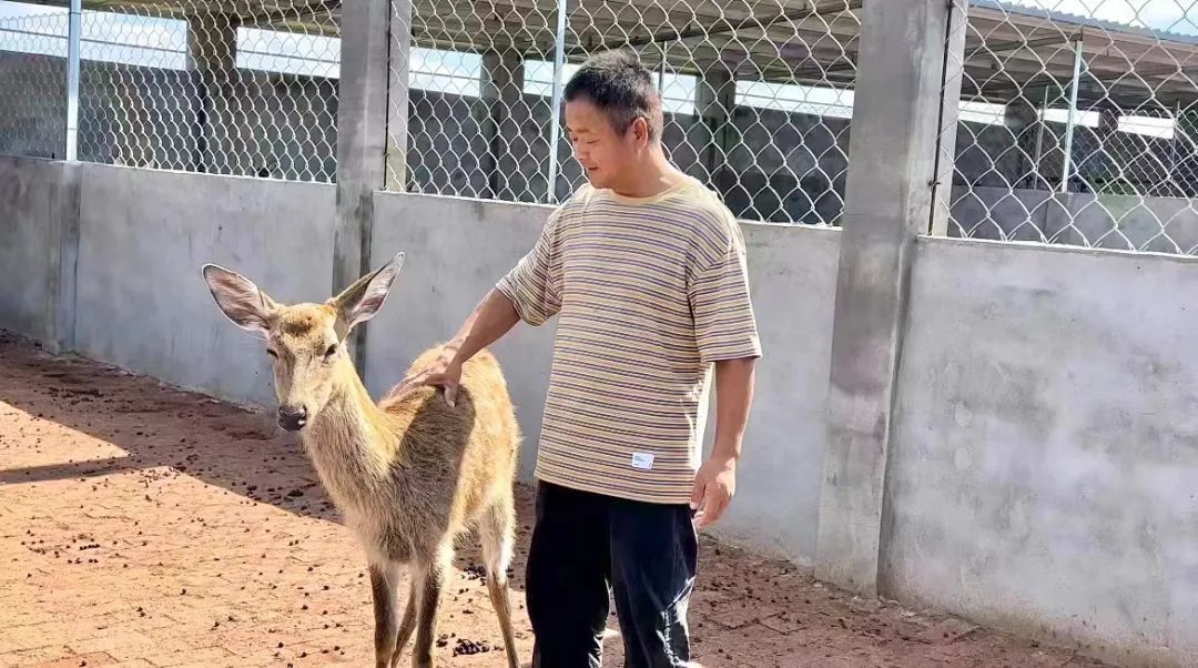 天龙集团 柬埔寨